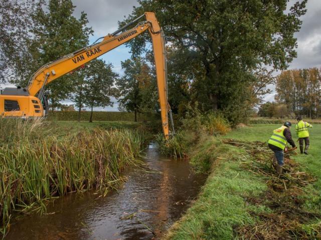 dégagement cours d'eau